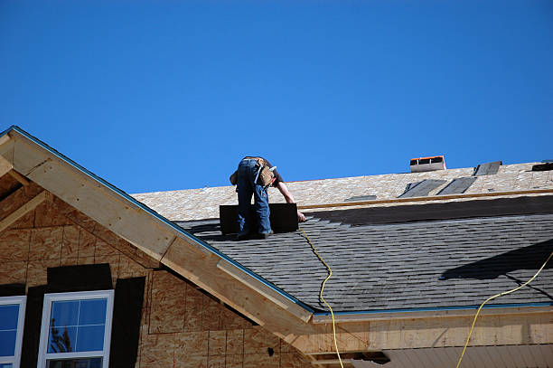 Best Affordable Roof Replacement  in Falcon Heights, MN