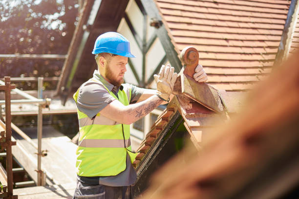 Best Best Roofing Contractors  in Falcon Heights, MN